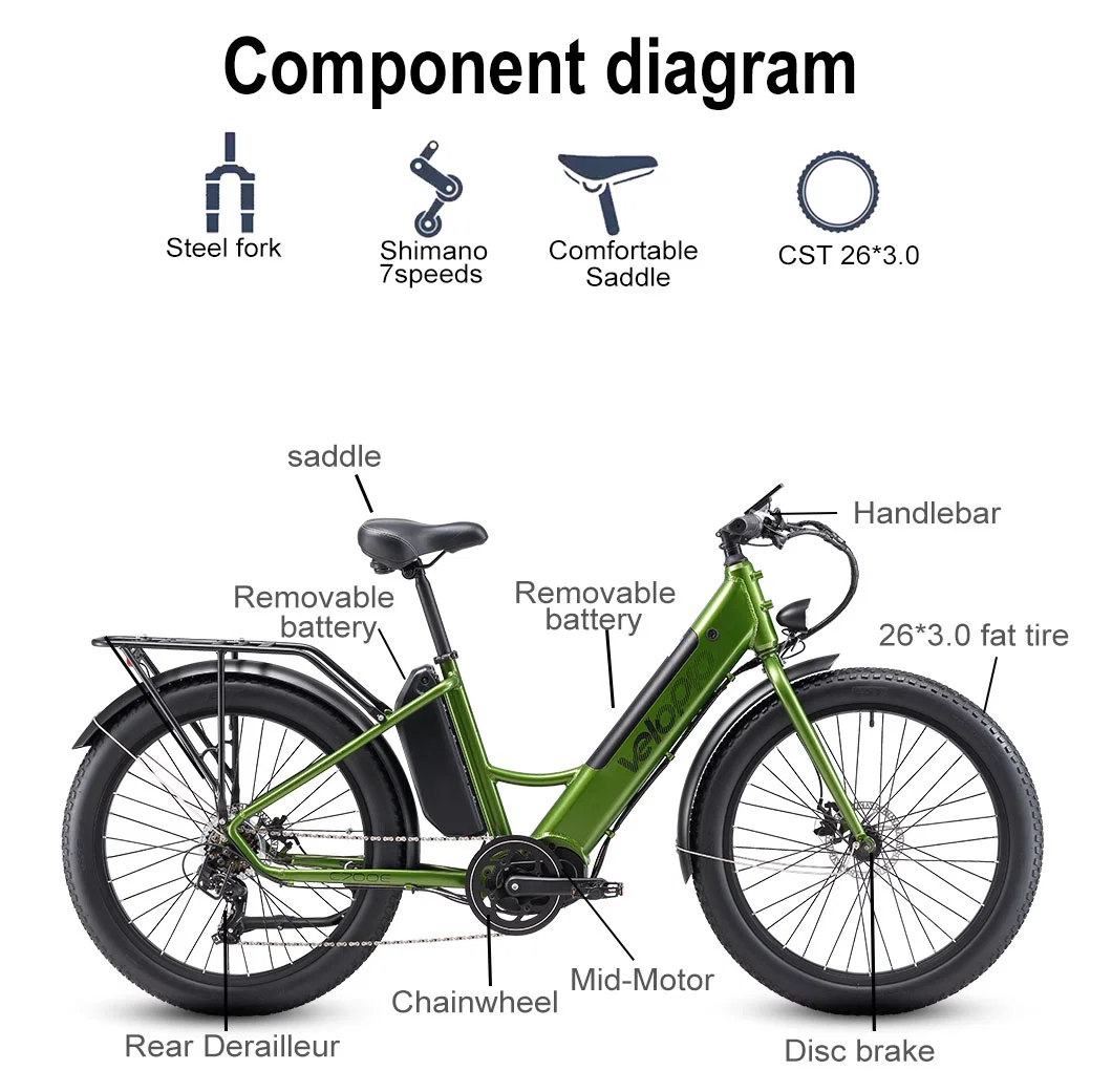 Popular Fat Bike Hardtail Electric Bike with Tektro Disc Brakes