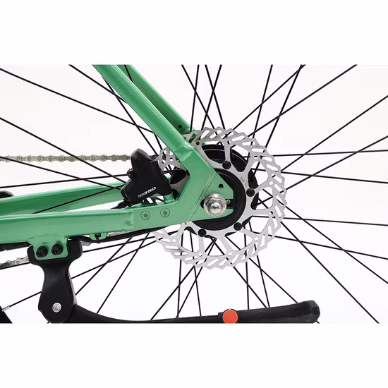 Passo leve através da bicicleta elétrica bicicleta suburbana bicicleta esportiva bicicleta urbana Ebike