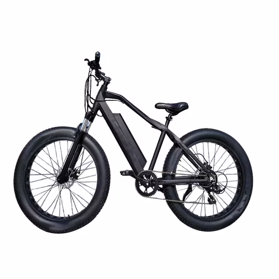 500W/750W/1000W 26 Polegadas 100 Nm Shimano 7