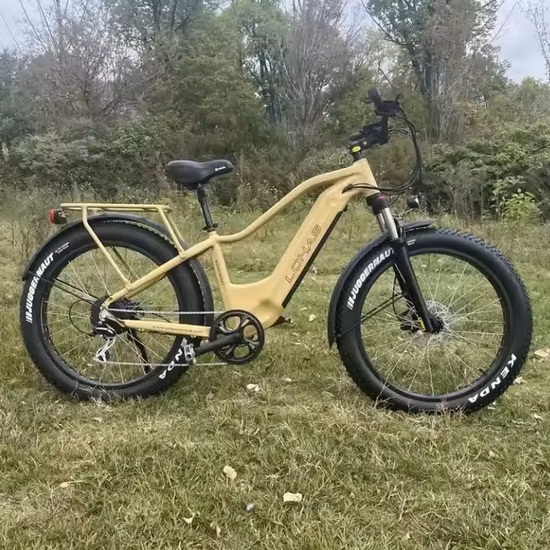 Fornecimento de fábrica Bicicleta com motor elétrico 48V 500W Bateria de lítio E Bike Commuter Bicicleta elétrica urbana