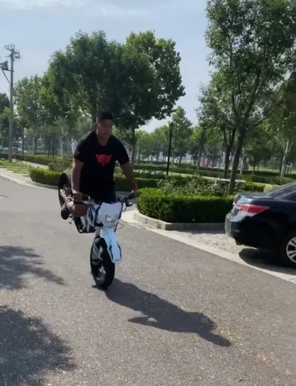 2023 admitjet amor adulto emoto melhor e mountainbike rápido 12000w enduro motocicleta ebike bicicleta da sujeira elétrica